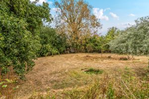 Photo 34- click for photo gallery